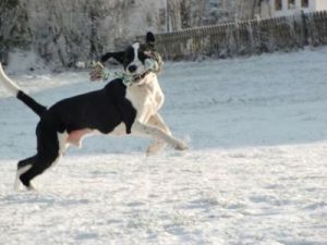 Eyla-Nana und Joey im ersten Schnee-2
