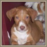 01scarlett-valerie10