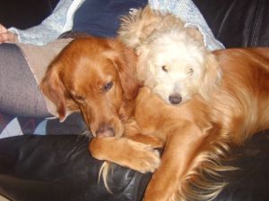 Duffy-Pluto 008-HE05