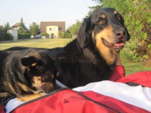 Felix-Carlo-HE4-2011