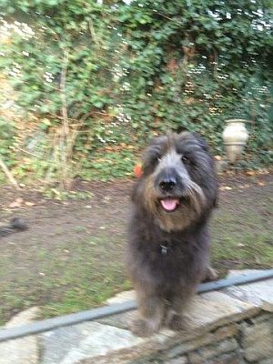 Gracia-ChilliHE10-17