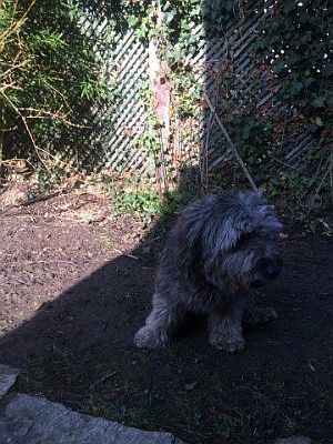 Gracia-ChilliHE10-19