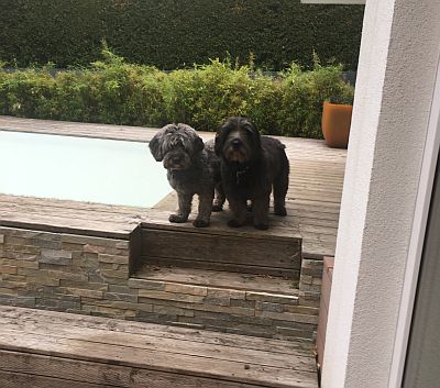 Gracia-ChilliHE10-21