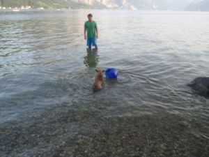 Oskar-Lupo-2010-HE10