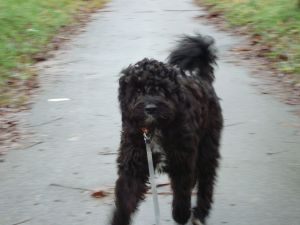 jumper-nicos-HE2011-10