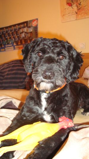 jumper-nicos-HE2011-9